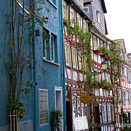 2024 Ausflug nach Wetzlar - Elke Hickstein: &quot;Haus am Rosenstock&quot;
